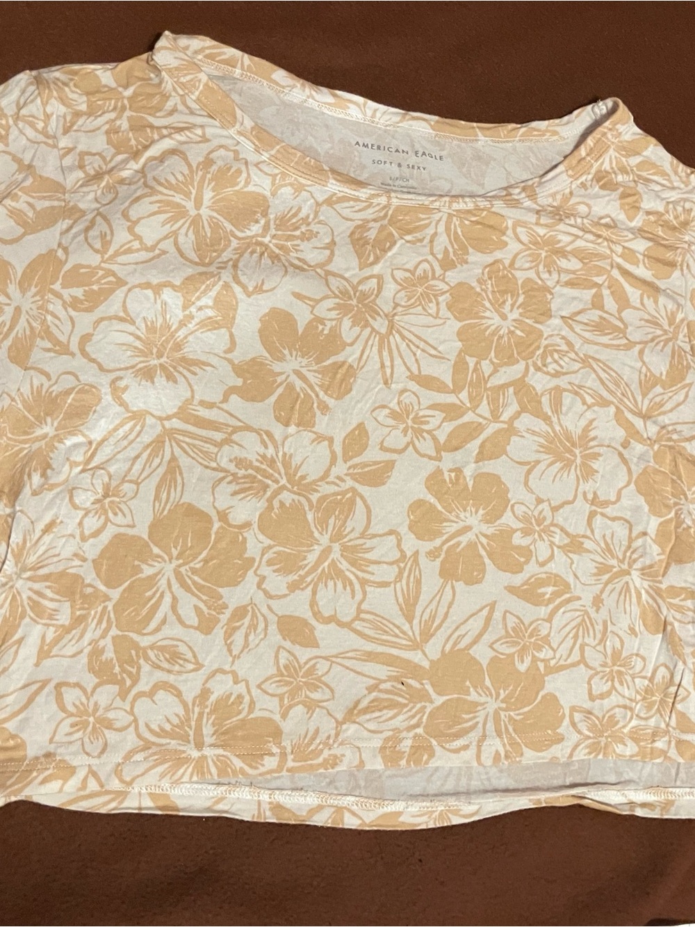 American Eagle Outfitters Cream and Beige Floral Crop Top